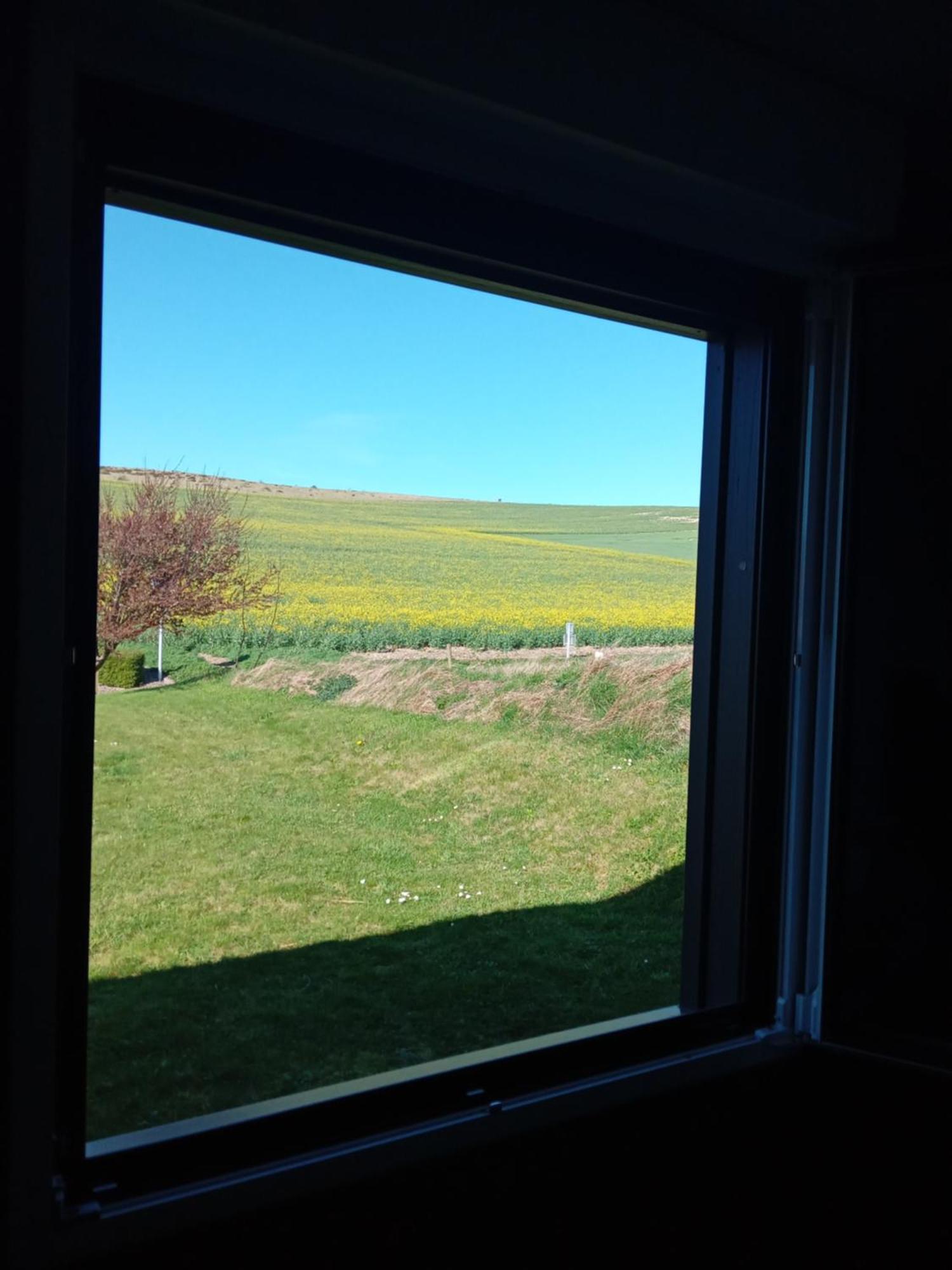 Les Balcons Du Cap Bed and Breakfast Escalles Eksteriør billede